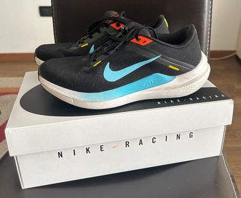 Used Nike Winflo10 Running Shoes