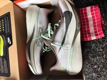 Gebrauchtes Pegasus Nike 42 Running Shoes