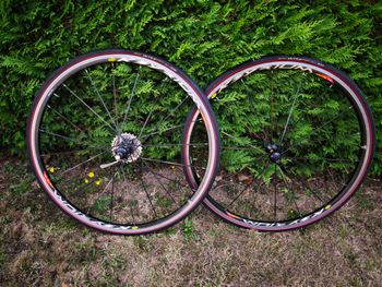 Used Mavic Ksyrium Elite Wheelset + Shimano Cassette Wheels