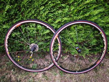 Used Mavic Ksyrium Elite Wheelset + Shimano Cassette bike — image 5 of 11