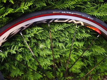 Used Mavic Ksyrium Elite Wheelset + Shimano Cassette bike — image 10 of 11