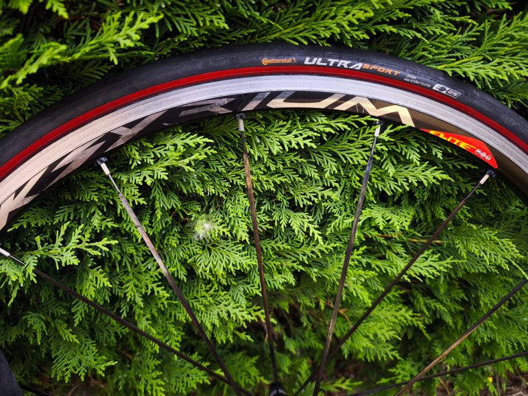 Used Mavic Ksyrium Elite Wheelset + Shimano Cassette bike — image 10 of 11