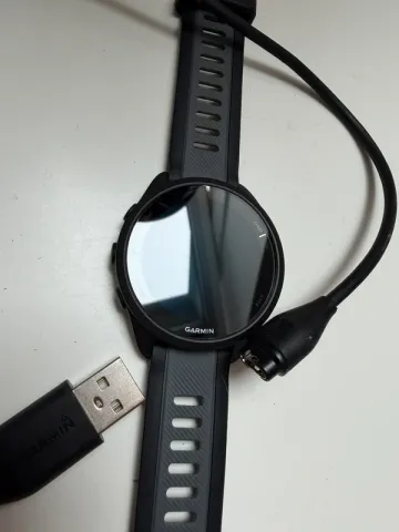 Garmin Forerunner 165 Electronics usato