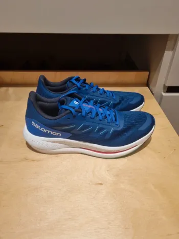 Used Salomon Trainings- und Laufschuh Running Shoes