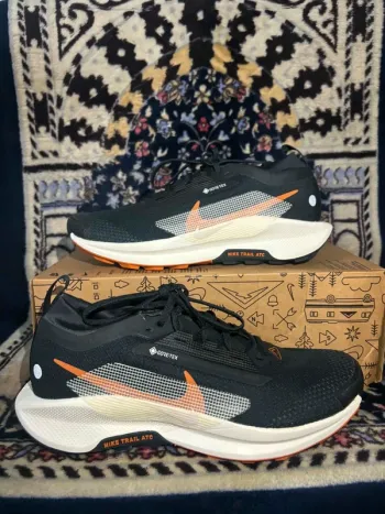 Pegasus Trail 5 GTX Running Shoes usato