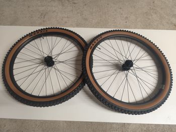Tweedehands MG + Maxxis 29' MG Wheelset + Maxxis Minion DHR + Assegai 2026 Wheels