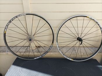 Brugt Mavic Aksium Wheelset 2023 Wheels