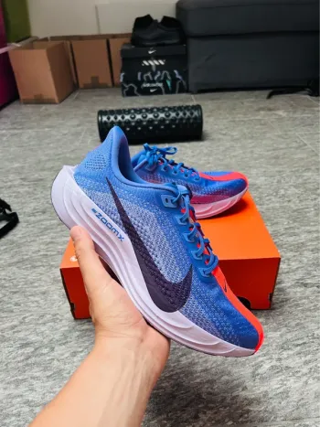Used Pegasus Plus Running Shoes