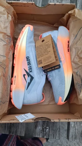 Brugt Pegasus Trail 5 GTX Running Shoes