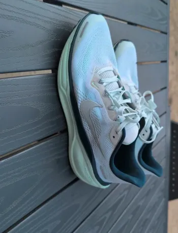 Pegasus 41 Running Shoes d'occasion