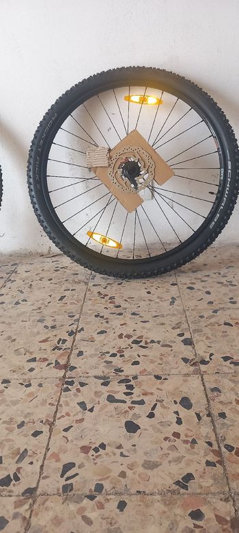 Gebrauchtes Wtb sx 19 2025 bike — Bild 2 von 3