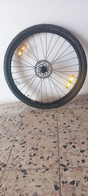 Gebrauchtes Wtb sx 19 2025 bike — Bild 3 von 3