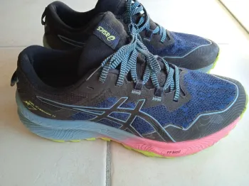 Brugt Asics Trail Running Shoes