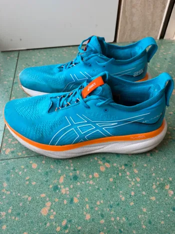 Brugt Scarpa Nimbus 25 Running Shoes