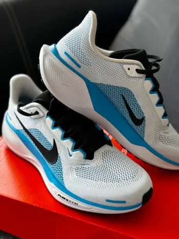 Used Pegasus 41 Running Shoes