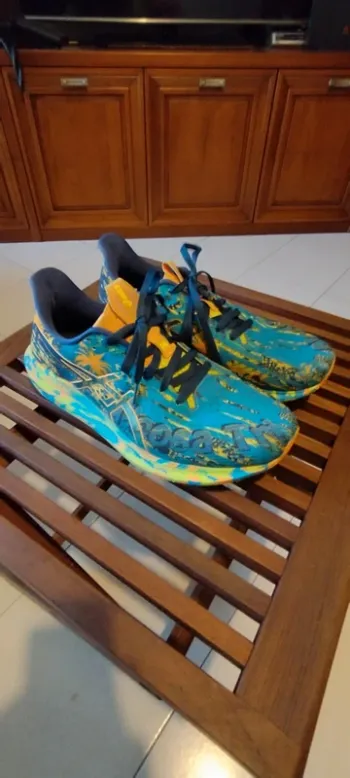 Used Asics Noosa Tri 14 Running Shoes