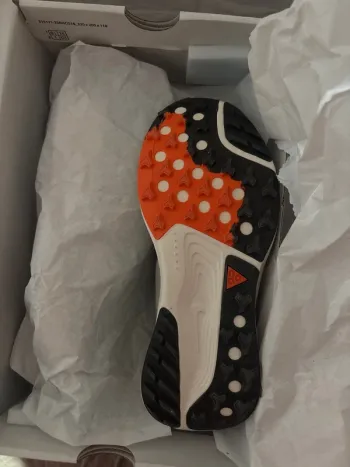 Pegasus ACG bike usato — immagine 5 di 6