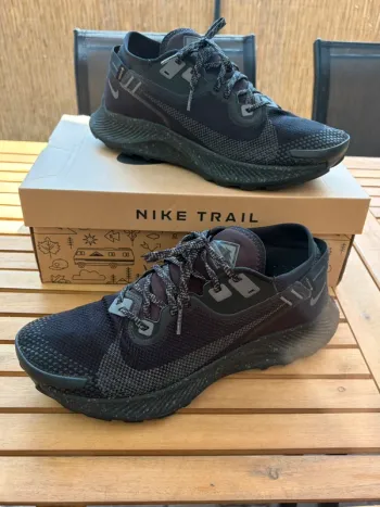 Gebrauchtes Pegasus Trail 2 GORE-TEX Running Shoes