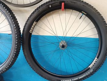 Gebrauchtes Damil Components Ruote 29 2022 Wheels
