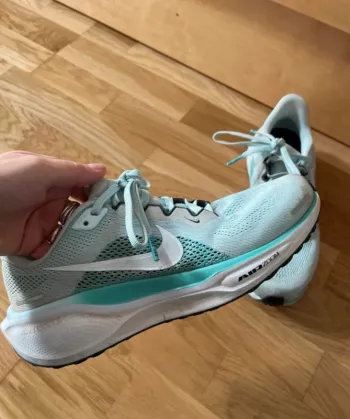 Brugt Pegasus 41 Running Shoes