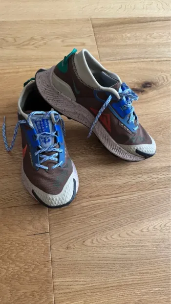 Used Pegasus Trail Gore Tex Running Shoes