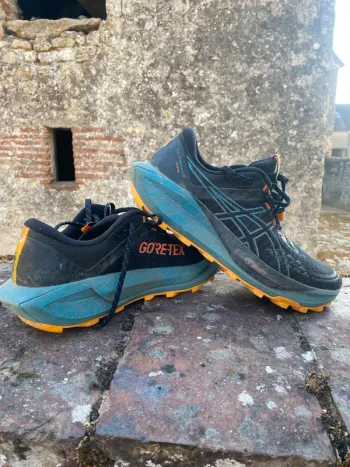 Brugt Asics Gel-Trabuco 13 GTX Running Shoes