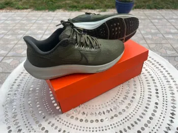 Used Pegasus 39 Running Shoes