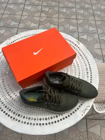 Used Pegasus 39 bike — image 5 of 5