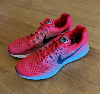 Pegasus Zoom bike d'occasion — image 1 sur 3