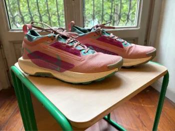 Brugt Pegasus Trail 5 GTX Running Shoes