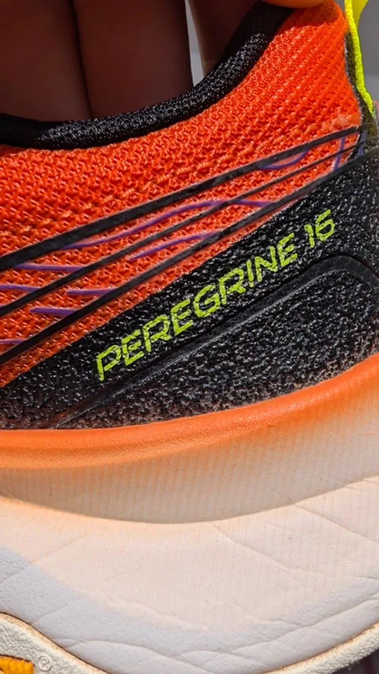 Used Saucony Peregrine 16 bike — image 3 of 5