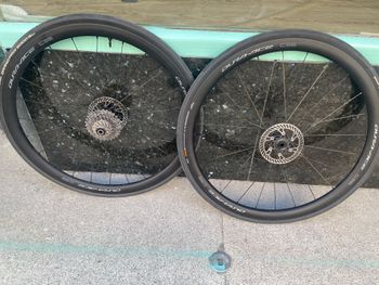 Shimano Dura Ace C36 2025 Wheels d'occasion