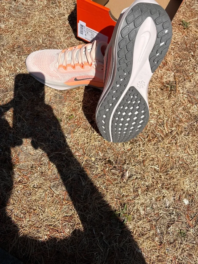 Used Pegasus Air Zoom 41 bike — image 5 of 15