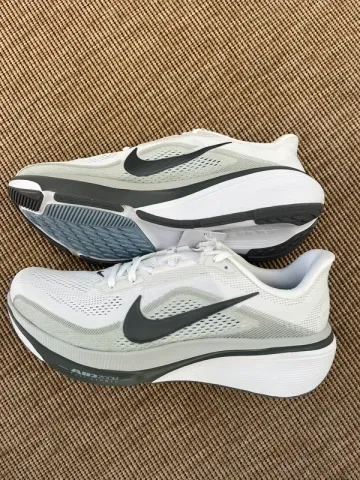 Použité Pegasus 42 Running Shoes