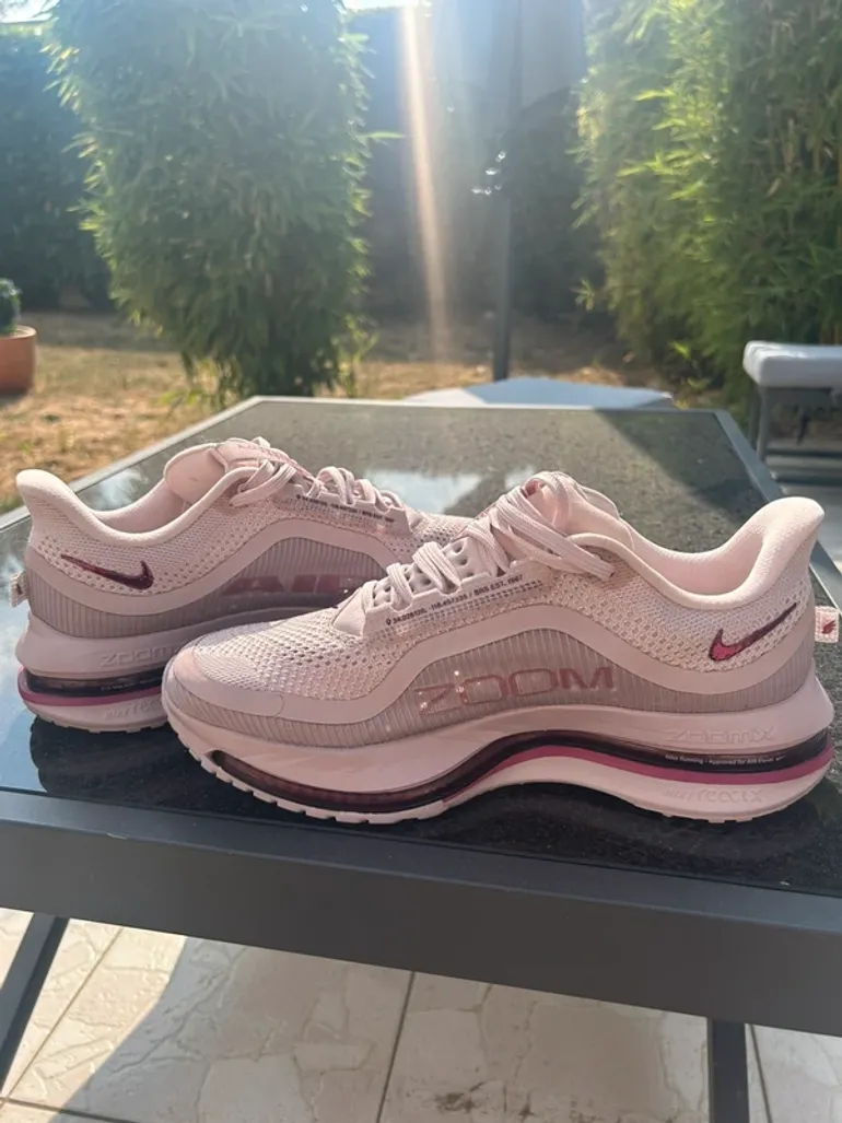 Pegasus Premium bike d'occasion — image 5 sur 12
