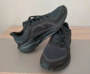 Brugt Pegasus 41 GTX Running Shoes