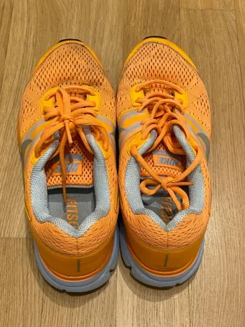 Used Pegasus Nike bike — image 5 of 6