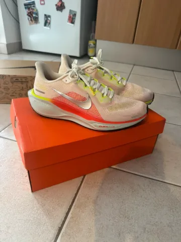 Brugt Pegasus 41 Running Shoes