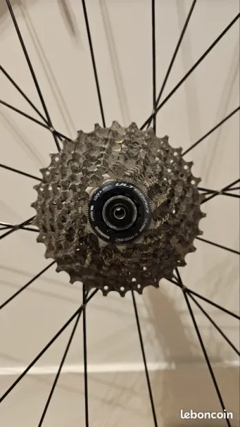 Used asterion Edition One bike — image 6 of 7