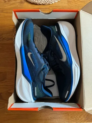 Used Pegasus 41 Running Shoes