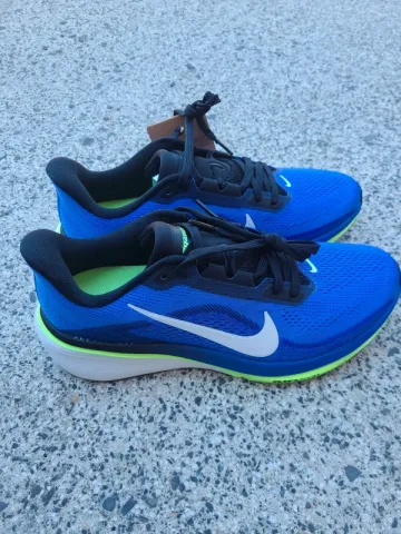 Used Pegasus 42 Running Shoes