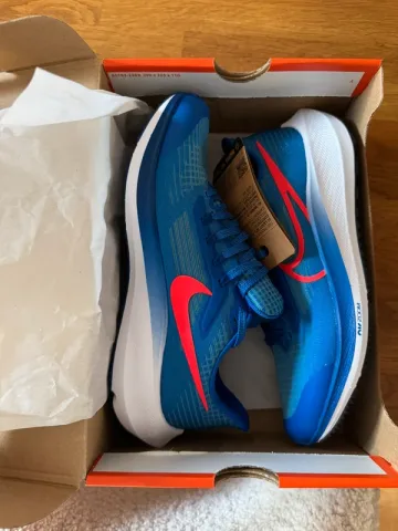 Used Pegasus 39 Running Shoes