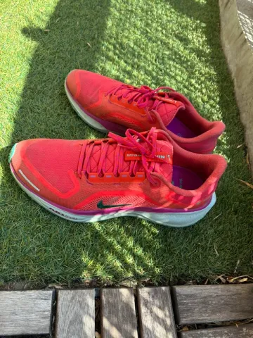 Used Pegasus 41 GTX Running Shoes