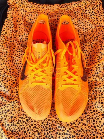 Used Nike Victory 2 Safari bike — image 2 of 6