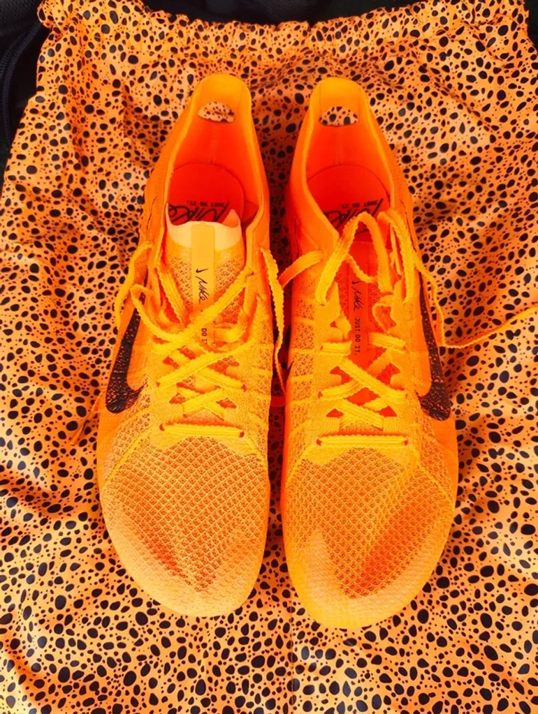 Used Nike Victory 2 Safari bike — image 2 of 6