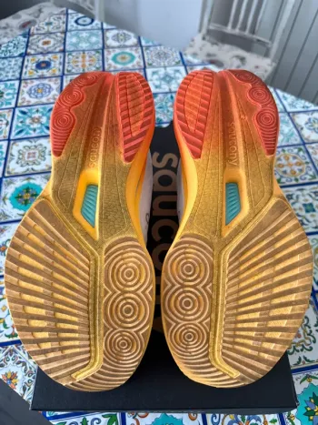 Used Saucony Endorphin Speed 5 2026 bike — image 5 of 8