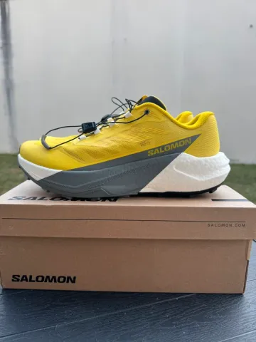 Salomon Pulsar Running Shoes d'occasion