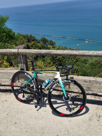 Brugt Newmen Advanced SL R.38 bike — billede 7 af 7