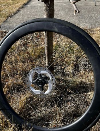 Brugt Lapierre Road Disc Carbon Wheelset bike — billede 2 af 3