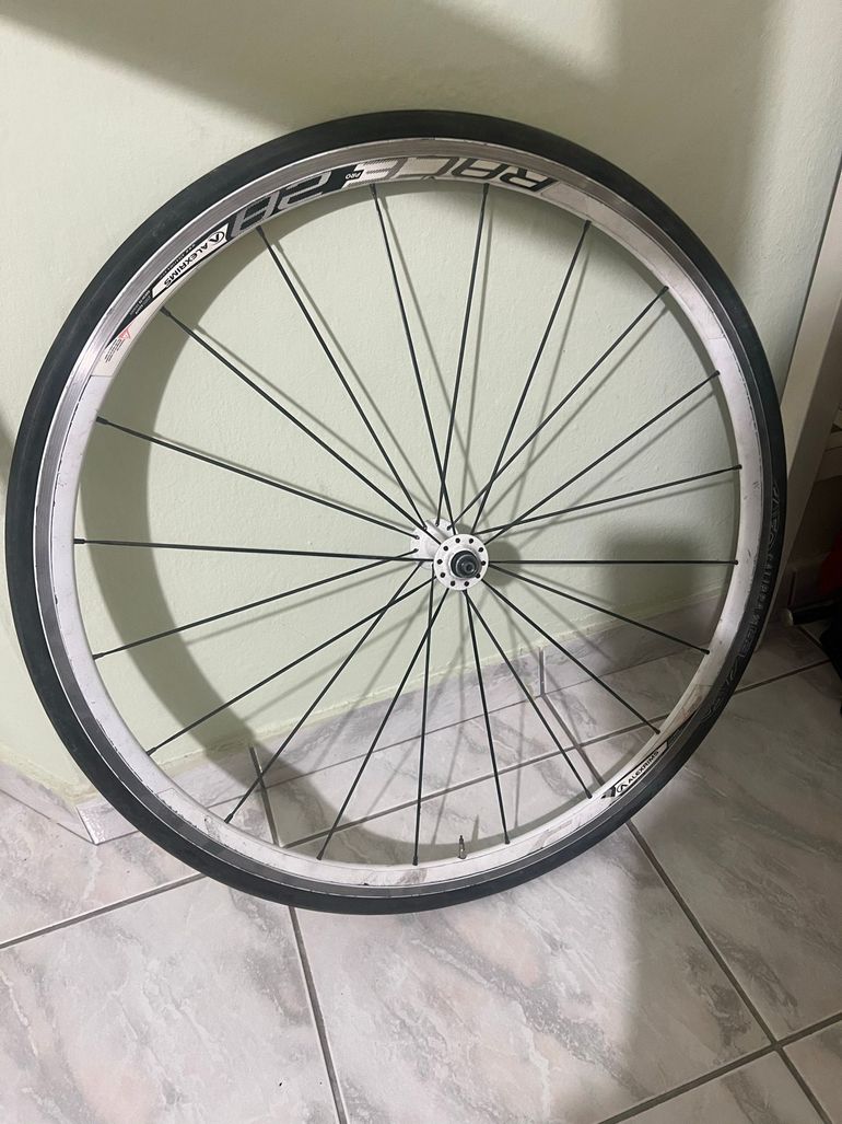 Alexrims race pro 28 2011 bike usato — immagine 2 di 4